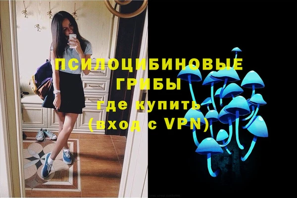 прущие грибы Покров