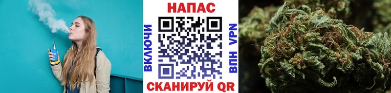 Шишки марихуана Amnesia  ОМГ ОМГ tor  Зима 